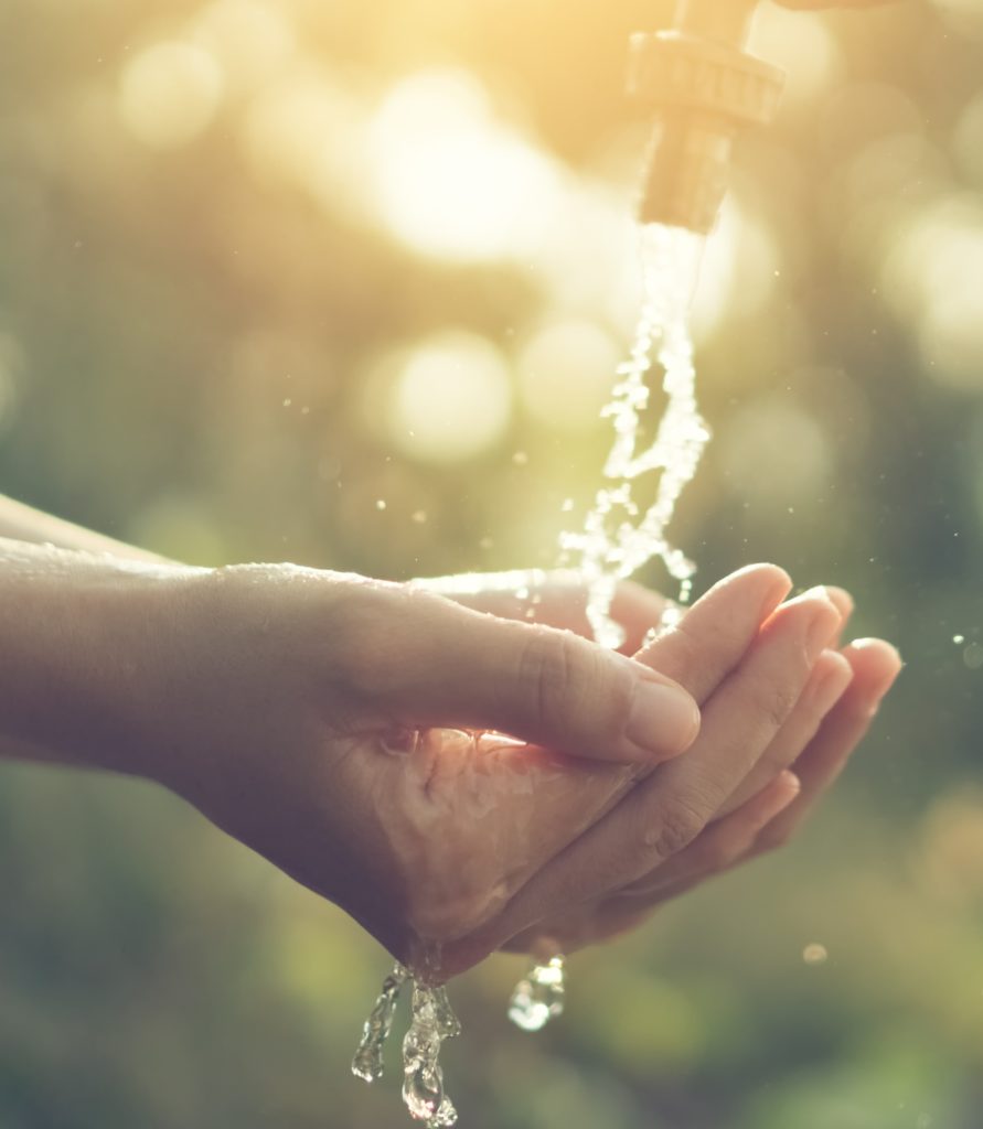 Closeup of hands cupped underneath a garden hose, catching water as it flows down