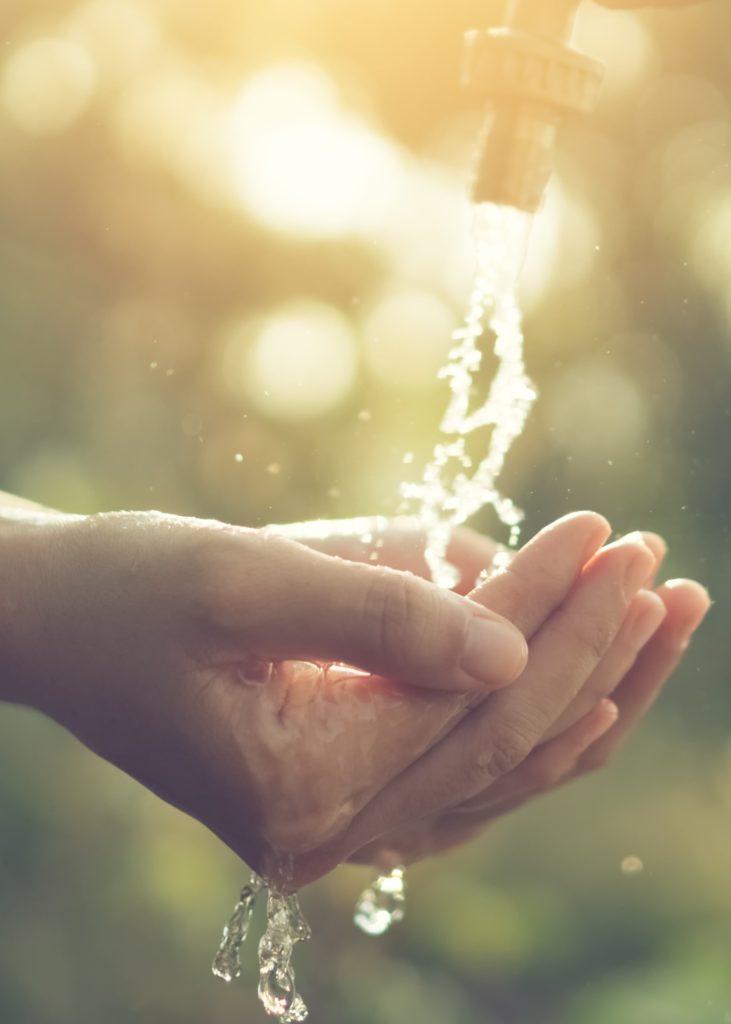 Closeup of hands cupped underneath a garden hose, catching water as it flows down.