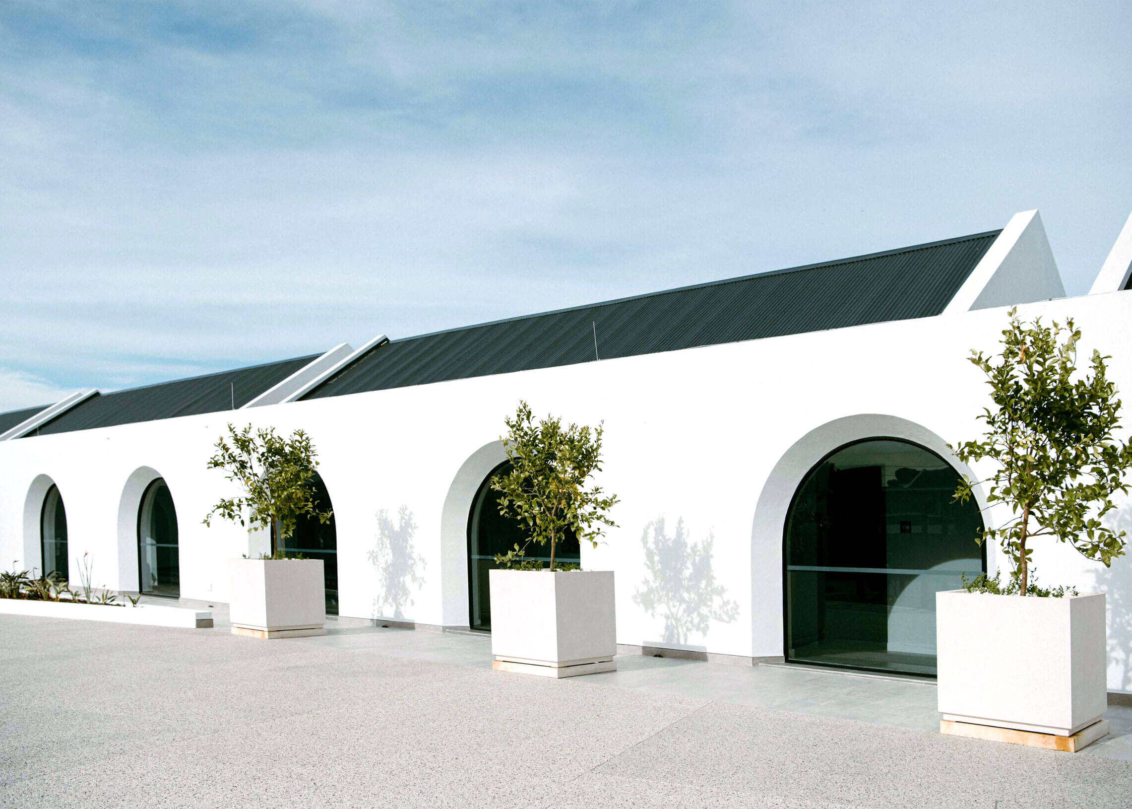 Modern white building with arched doorways and potted trees, showcasing contemporary architecture an.